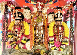 விஜயராகவப் பெருமாள் கோயில் தேரோட்டம்