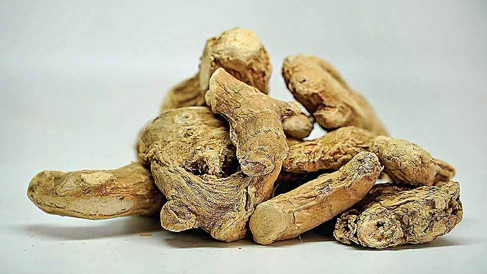 மூலிகை  மருத்துவம்...