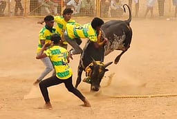 நாட்டரசன்கோட்டையில் வடமாடு மஞ்சுவிரட்டு