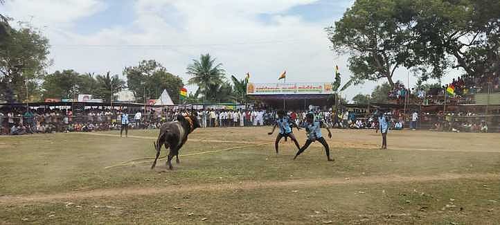 ஆலங்குடி அருகேயுள்ள மாங்கோட்டையில் ஞாயிற்றுக்கிழமை நடைபெற்ற வடமாடு ஜல்லிக்கட்டில் சீறிப்பாய்ந்த காளையை அடக்க முயன்ற வீரா்கள்