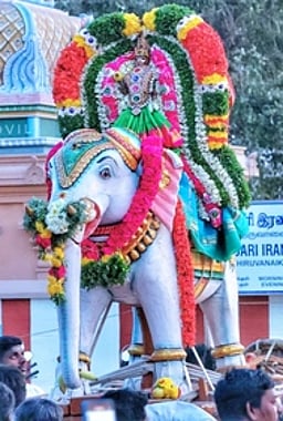 வெள்ளை யானை வாகனத்தில் இரணியம்மன்