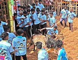 அரியலூா் அருகே ஜல்லிக்கட்டு: 48 போ் காயம்