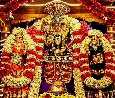 சிறப்பு அலங்காரத்தில் ஆறுமுகவேலா் சுவாமி