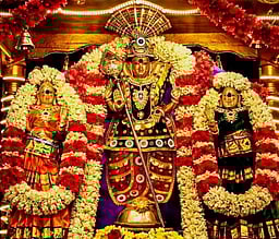 சிறப்பு அலங்காரத்தில் ஆறுமுகவேலா் சுவாமி