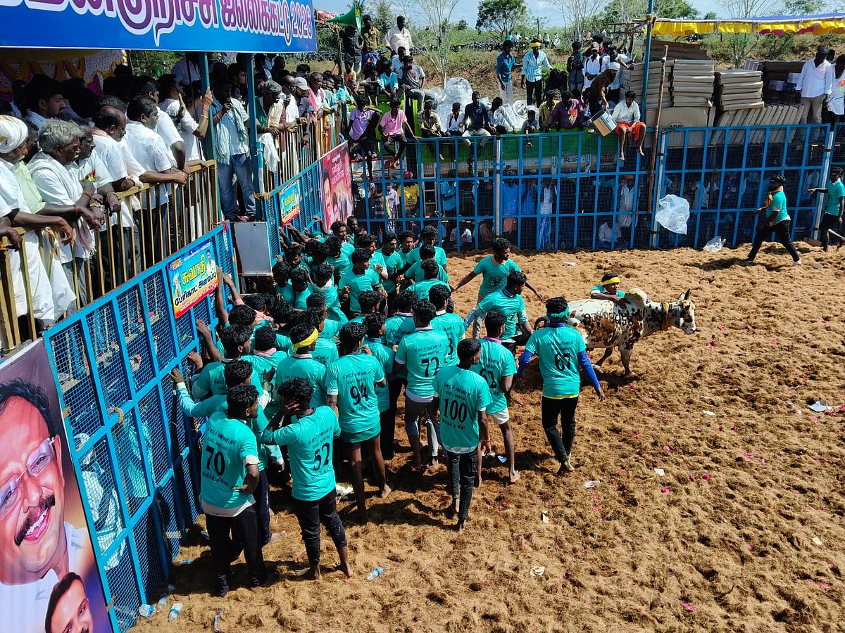 பொன்னமராவதி அருகே ஜல்லிக்கட்டுப் போட்டி   