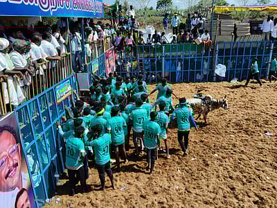 பொன்னமராவதி அருகே ஜல்லிக்கட்டுப் போட்டி   