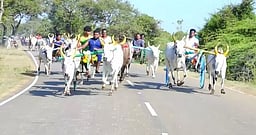 கல்லல் அருகே மாட்டு வண்டிப் பந்தயம்