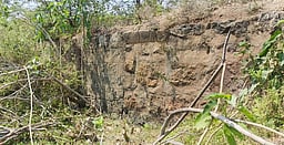 பழனியில் குளக்கரையின் மதகு நிரந்தரமாக மூடப்பட்டதால் விவசாயிகள் அவதி