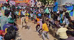 வளையாம்பட்டு கிராமத்தில் எருது விடும் திருவிழா