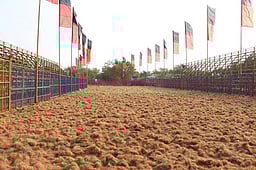 திருச்சி மாநகரில் இன்று
முதல் ஜல்லிக்கட்டு