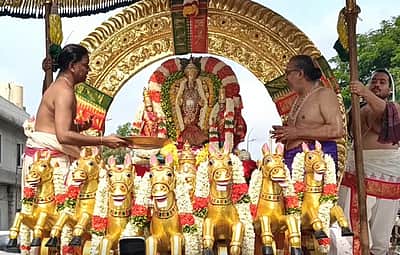 மாசித் திருவிழா: தங்க சூரிய பிரபை வாகனத்தில் காமாட்சி அம்மன்!