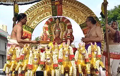 மாசித் திருவிழா: தங்க சூரிய பிரபை வாகனத்தில் காமாட்சி அம்மன்!