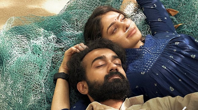 கஃபுள் பிரண்ட்லி அசத்தல் வசூல்!