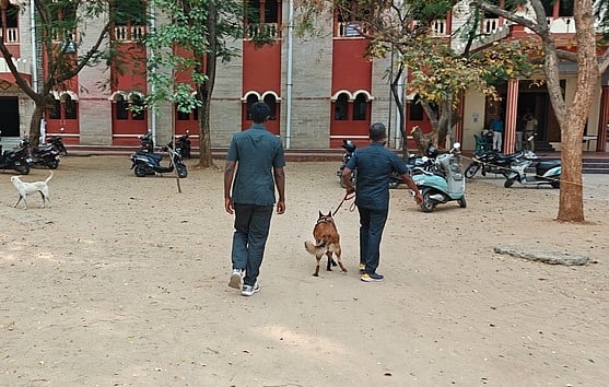 வேலூரிலிருந்து வரவழைக்கப்பட்ட மோப்ப நாய்.