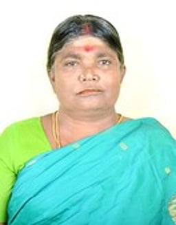 காட்டு யானை தாக்கி மூதாட்டி உயிரிழப்பு