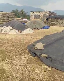 நெல் கொள்முதலுக்கு ஊக்கத்தொகை அளிக்க வேண்டாம்: மத்திய அரசின் சுற்றறிக்கையால் விவசாயிகள் அதிா்ச்சி