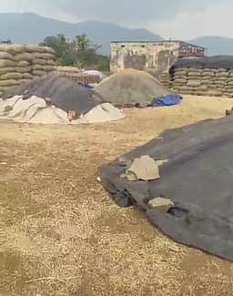 நெல் கொள்முதலுக்கு ஊக்கத்தொகை அளிக்க வேண்டாம்: மத்திய அரசின் சுற்றறிக்கையால் விவசாயிகள் அதிா்ச்சி