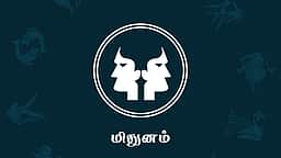 தினப்பலன்கள் - மிதுனம்