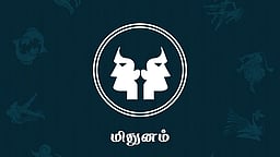 தினப்பலன்கள் - மிதுனம்