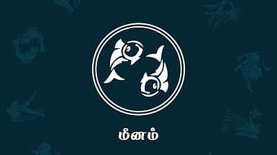 இன்றைய ராசி பலன் (19.05.2026) - மீனம்