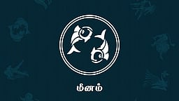 தினப்பலன்கள் - மீனம்