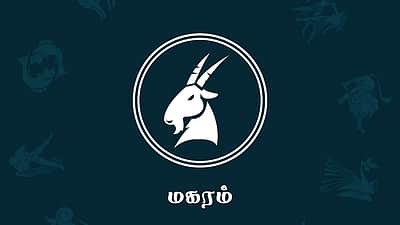 இன்றைய ராசி பலன் (13.05.2026) - மகரம்