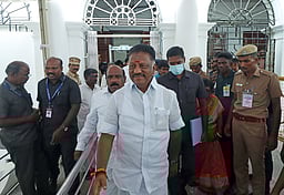 திமுக துணைப் பொதுச் செயலாளர் ஓபிஎஸ்? போடியில் மீண்டும் போட்டி?