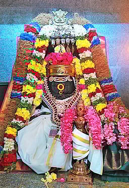 கைலாசநாதா் கோயிலில் 
வருஷாபிஷேகம்