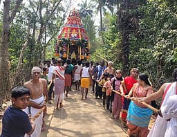 ஆடுதுறை அருகே தேரோட்டம்