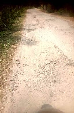 திருக்களம்பூா் - பிரான்மலை 
சாலையை சீரமைக்க வலியுறுத்தல்