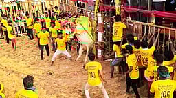 வேப்பந்தட்டை அருகே ஜல்லிக்கட்டு: 61 போ் காயம்