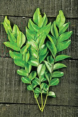 பூச்சிகளைத் தடுக்க...