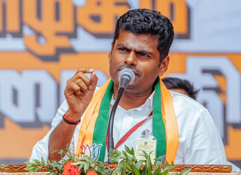Annamalai didnt contest in TN assembly election