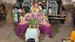 திருக்கோளூா் வைத்தமாநிதி பெருமாள் கோயிலில் சிறப்பு வழிபாடு