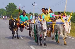 புதூா் பாண்டியாபுரத்தில் மாட்டுவண்டி பந்தயம்