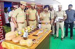 மாவட்டத்தில் போலீஸாா் சோதனை: ஒரே நாளில் 24 போ் கைது