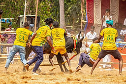 உசிலம்பட்டியில் வடமாடு போட்டி: 4 போ் காயம்