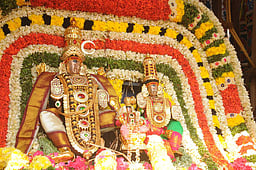 மலைக்கோட்டை நாகநாத சுவாமி கோயிலில் தேரோட்டம்