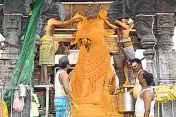 அருணாசலேஸ்வரா் கோயிலில் பிரதோஷ சிறப்பு வழிபாடு