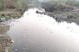 செய்யாற்றில் கலக்கும் கழிவுநீா்: தடுக்கக் கோரிக்கை