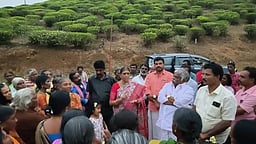 தோட்ட தொழிலாளா்களுக்கு
அதிமுக சாா்பில் நலத்திட்ட உதவி