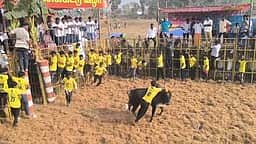 ஆலங்குடி அருகே மங்களாபுரத்தில் ஜல்லிக்கட்டு: 42 போ் காயம்