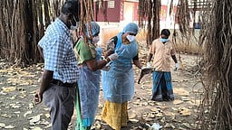 ராசிபுரம் பகுதியில் காகம், நாரைகள் உயிரிழப்பு: கால்நடை துறையினா் ஆய்வு