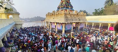 மாசி மகம் திருவிழா - புகைப்படங்கள்