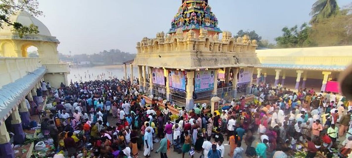 மாசி மகம் திருவிழா - புகைப்படங்கள்