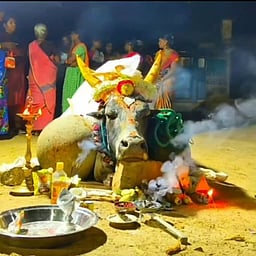 வேந்தன்பட்டி கோயில் காளை உயிரிழப்பு: பொதுமக்கள் அஞ்சலி