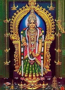 குமரி பகவதியம்மன் கோயிலில் வருஷாபிஷேகம்