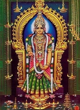 குமரி பகவதியம்மன் கோயிலில் வருஷாபிஷேகம்