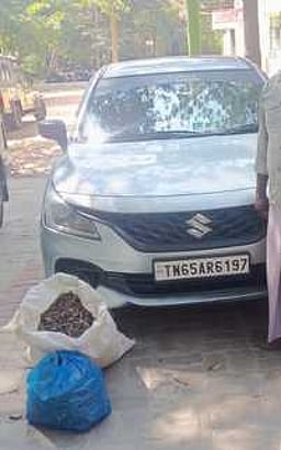 கடல் குதிரைகள் கடத்தல்: ஒருவா் கைது