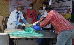 தெரு நாய்களுக்கு வெறிநோய் தடுப்பூசி முகாம்